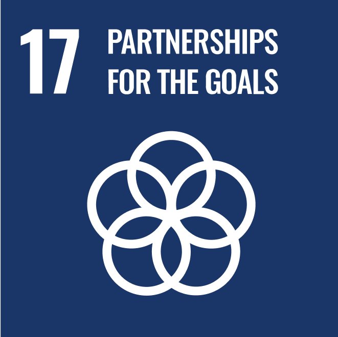 17th goal of SDGs image